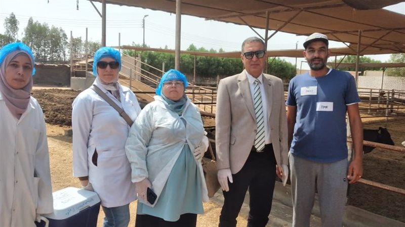 الخدمات البيطرية