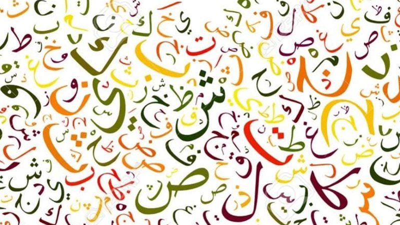 اليوم العالمي للخط