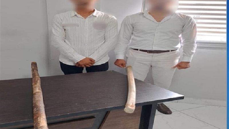 المتهمان