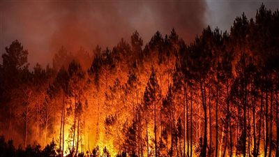 حرائق الغابات تجتاح أوروبا.. واشتباه في أن بعضها اشتعل بفعل فاعل