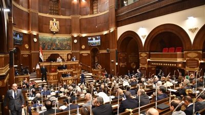 خلال أيام.. رئيس الجمهورية يُعين 100 نائبًا بمجلس الشيوخ 