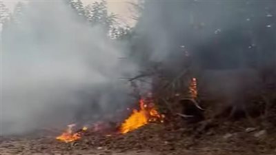 السيطرة على حريق نشب في مخلفات ونباتات جافة على طريق «الباجور شبين» 