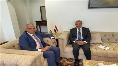 وزيرا الخارجية والري: الأمن المائي المصري خط أحمر|فيديو 