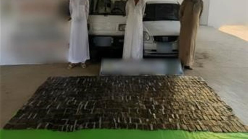 جانب من المضبوطات