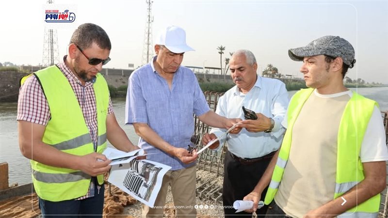 محافظ المنيا