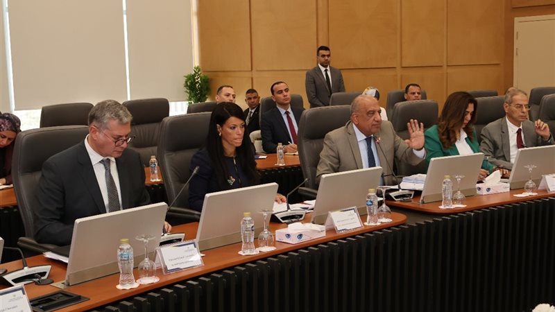 وزير الكهرباء