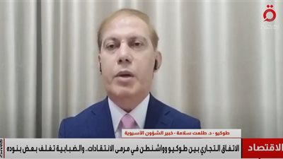 طلعت سلامة يحذر من غياب التوثيق الرسمي ويشيد بمرونة الاقتصاد الياباني