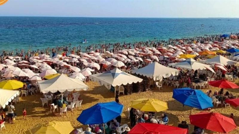 شواطئ الإسكندرية