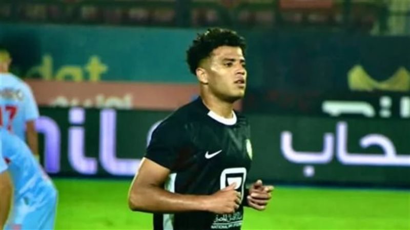 أحمد ربيع