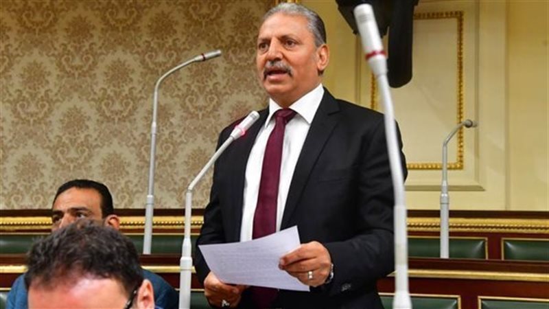 اللواء إبراهيم المصري