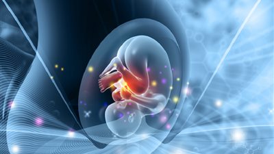 روبوت حامل بطفل.. ابتكار صيني يشعل جدلا أخلاقيا حول العالم