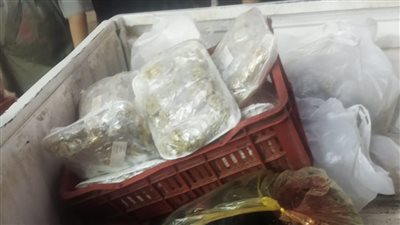 ضبط لحوم وسلع غذائية فاسدة وتحرير 382 محضرًا خلال حملات رقابية بأسيوط