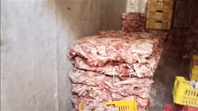 ضبط 10 أطنان من هياكل الدواجن غير الصالحة خلال حملة تموينية بالجيزة 