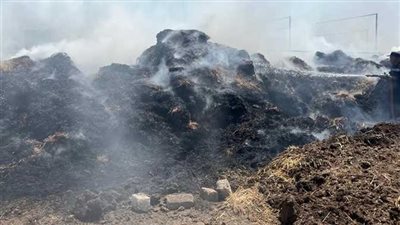 السيطرة على حريق نشب بمزرعة مواشي في قري كفر العمار بطوخ بالقليوبية