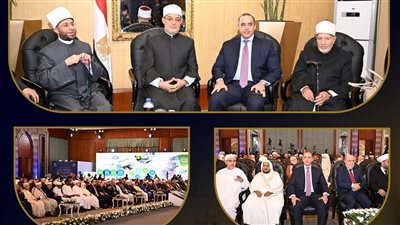 من الانتخاب إلى التشريع.. نشاط مكثف للمستشار محمود فوزي في أسبوعين