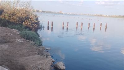 كارثة بيئية في رأس البر.. نهر النيل يتحول إلى مستنقع للصرف الصحي