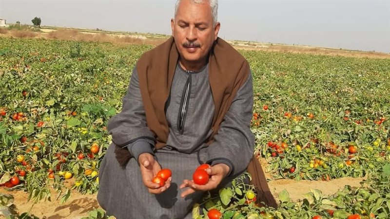 حسين أبو صدام نقيب