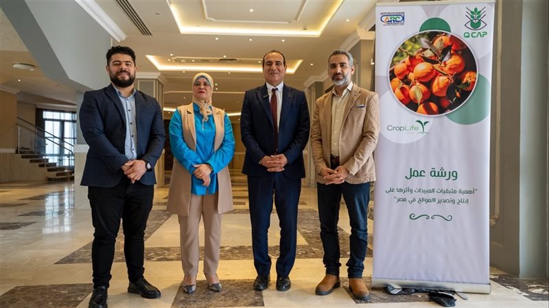 الزراعة