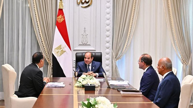 الرئيس السيسي والحكومة