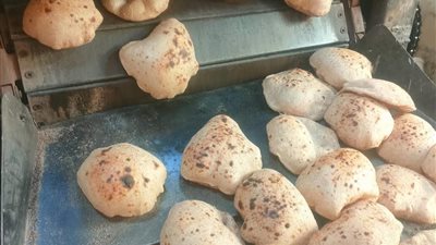   تحرير 65 محضراً لضبط الأسواق في حملات تموينية بالسويس