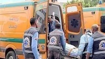 مصرع شخص إثر حادث تصادم سيارة ملاكي بعربة كارو أعلي كوبري كفر الدوار