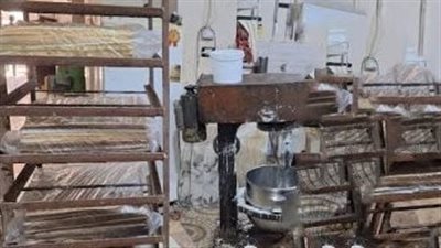 إعدام 2 طن أغذية فاسدة وضبط 161 مخالفة في حملات تفتيشية بالشرقية