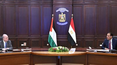 مدبولي يؤكد رفض مصر فرض أي أمر واقع يؤدي إلى تصفية القضية الفلسطينية