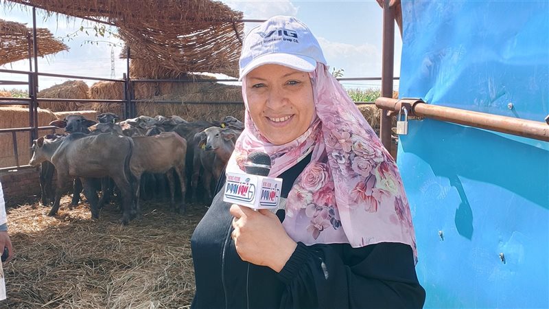 دكتوره وطنية السيد