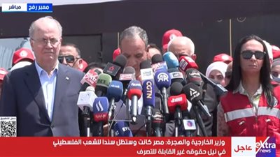 وزير الخارجية: مصر كانت وستظل سندا للشعب الفلسطيني في حقه المشروع 