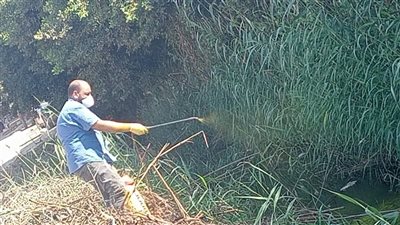 صحة كفرالشيخ تُطلق حملة لتعقيم المجاري المائية في البؤر المصابة