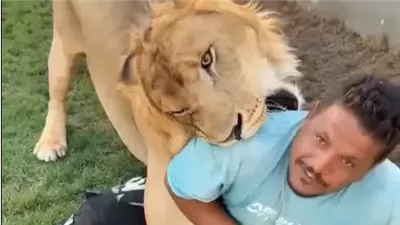 فيديو صادم.. ليبي يطلق أسده على عامل مصري ويشعل موجة غضب واسعة