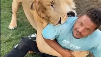 خبير نفسي هجوم أسد على عامل مصري في ليبيا..تصرف صاحبه سيكوباتي|خاص