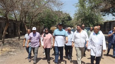 القليوبية تنفض غبار التوقف.. مشروع «30 مليون بيضة» يعود للحياة في الخانكة