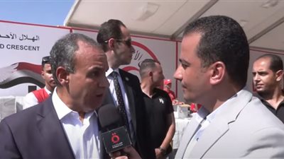 وزير الخارجية: جهود مصرية مكثفة بتوجيهات من الرئيس السيسي لوقف عدوان غزة