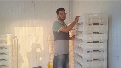 ضبط 810 كجم جبنة موزاريلا مجهولة المصدر خلال حملة صحية بمدينة ببا