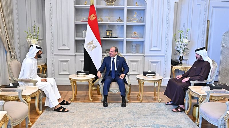 جانب من لقاء الرئيس