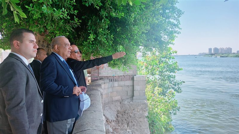 وزير الكهرباء 