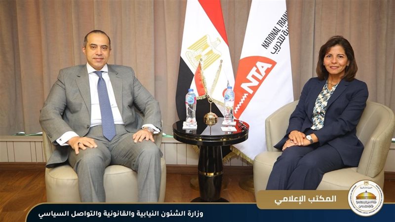 المستشار محمود فوزي