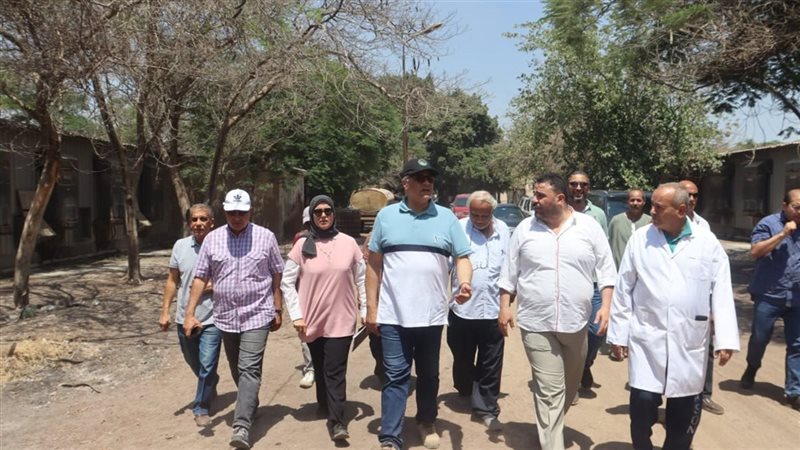 محافظ القليوبية