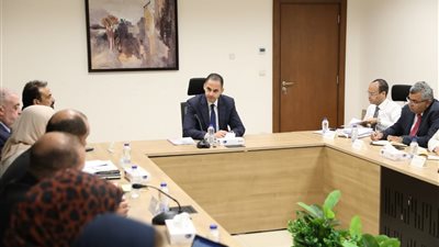 نائب وزير الصحة يعقد اجتماعًا لتطوير منظومة المخازن والتموين الطبي