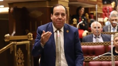 قيادي بـ«حماة الوطن»: الإساءة إلى الرموز العربية مرفوضة ومحاولات يائسة 