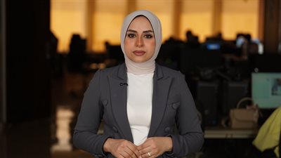 الكهرباء تحذر من رفع العدادات مسبقة الدفع حال إهمال الشحن المنتظم| فيديو