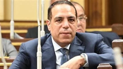 نائب: توجيهات الرئيس لضبط الأسواق وارتفاع الاحتياطي يعزز استقرار مصر المالي
