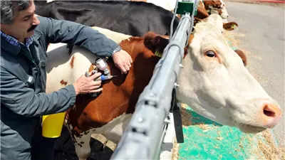 وزارة الزراعة: اعتماد منظومة إنذار مبكر لمكافحة الأوبئة الحيوانية  