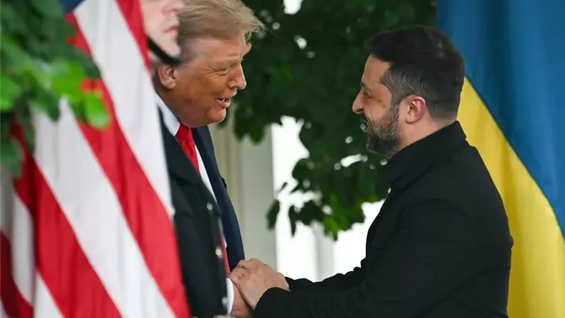 زيلنيكسي