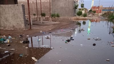 خسائر فادحة للفلاحين بسبب فيضان مياه الصرف الصحي في أبيس شرق الإسكندرية