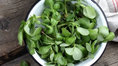 الطب النبوي| 