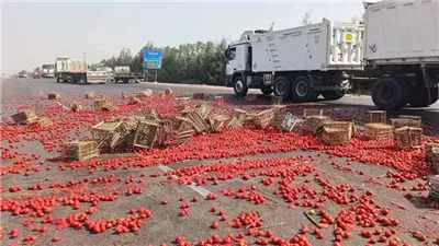 موت وخراب ديار.. إصابة شخصين إثر انقلاب سيارة محملة بالطماطم في البحيرة