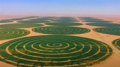 محمد القرش: الدلتا الجديدة وتوشكى نقطة تحول في مستقبل الزراعة المصرية|فيديو