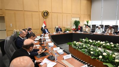 كامل الوزير وعلاء فاروق يبحثان التوسع في تصنيع الزبيب وتوطين صناعة الكتان 